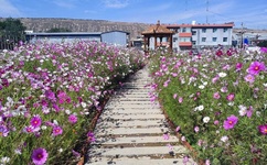 块儿八毛是什么生肖